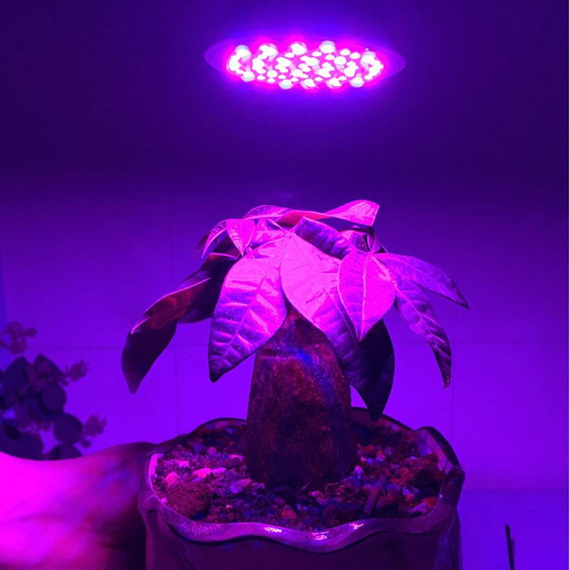 18LED 28 LED yellow or red blue light Grow Bulb E27 Hydroponic Growth Light Full Spectrum Sunlight Flower Plan Growing Lamp
