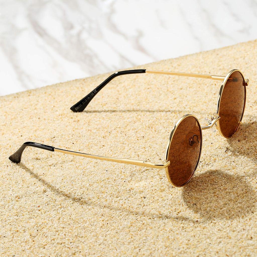 Pro Acme Retro Small Round Polarized Sunglasses for Men and C6 Gold Frame with Brown Medium Women, Lenses,