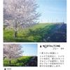 Kenko Soft Filter Nostal Tone Blue 77mm - Soft Effect & Color Enhancement - Creates an Anime Scene-like Look - Made In Japan - 006672