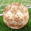 Sweet Lamb Portrait Size 5 Football Machine Sewn Indooroutdoor Universal Football Perfect Commemorative Gift For Soccer Lovers Luxury Gift For
