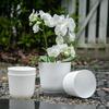 Nordic Thickened Lazy Desktop Vertical Stripe Round Pot: Phalaenopsis & Tiger Pothos Plastic Hydroponic Anti-Ceramic Flower Pot