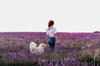 Biodegradable dog waste bags, 360 pieces, organic, + PetJet case