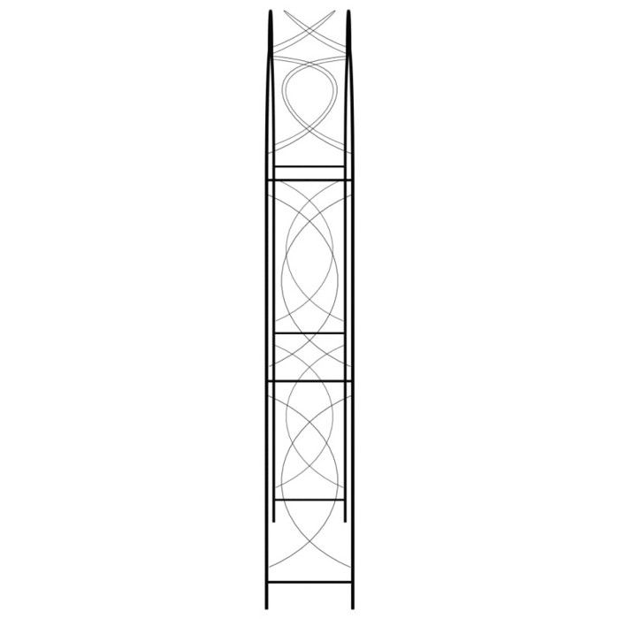 Voûte de jardin - VIDAXL - Noir - Métal - Fer enduit de poudre - 150x34x240 cm