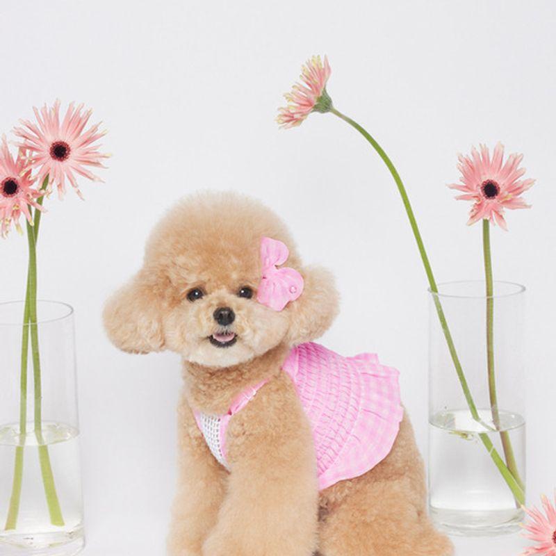 SALTYHEARTY Hello Crop Blouse New Check PINK