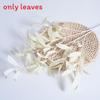Leaves Simulation Olive Leaf Home Soft Decoration Hotel Shopping Decoration Mall
