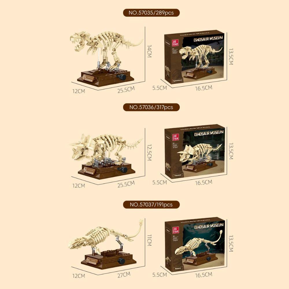 Bâtiment Squelette Tyrannosaure Rex Jouet Éducatif Ensemble de Blocs de Construction Affichage Fossile