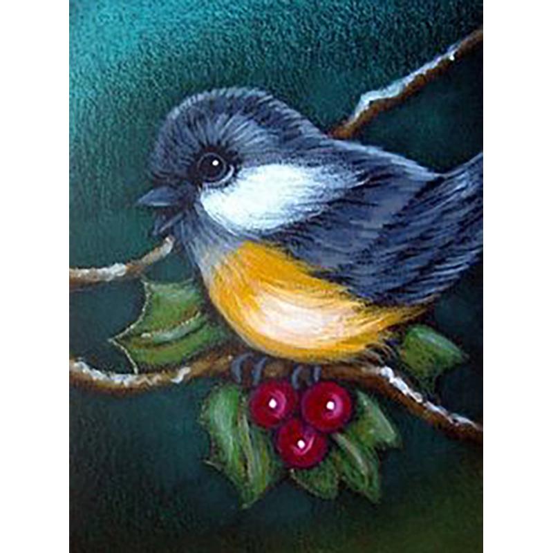 

5d алмазная живопись животное птица Алмазная вышивка полная круглая дрель изображение стразы мозаика окалина украшение дома Full Round 20x30CM