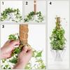 2Pcs Foam Stick, Coconut Foam Stick, Used for Climbing Plants, Reusable Telescopic Support, Used for Flowering Plants 30cm