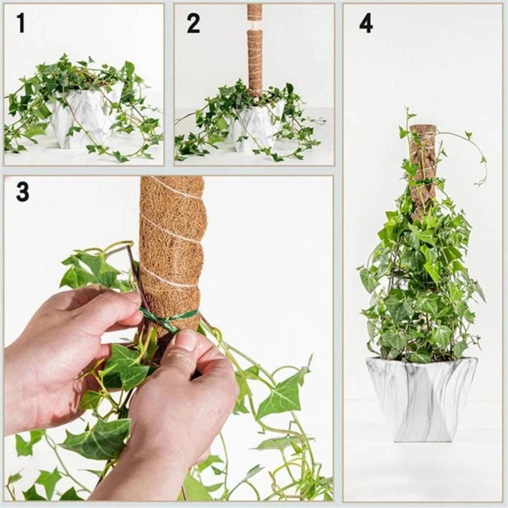 2Pcs Foam Stick, Coconut Foam Stick, Used for Climbing Plants, Reusable Telescopic Support, Used for Flowering Plants 30cm