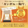 Iris Ohyama IS OH Disposable Heat Warm and 30 Sheets X 2 Made In Perfect for Outdoor Watching and Working Use [Set] (IR YAMA) Packs, Stick-On,