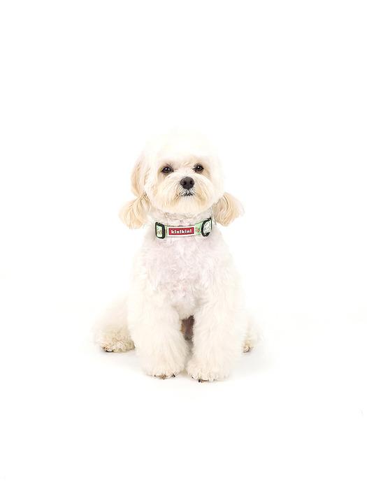 KINIKINI [Kinikini X Up Up] TWINKLE CHICHI COLLAR-GREEN (Necklace) S