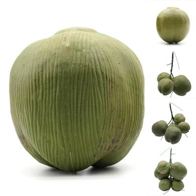 Simulation Coconut Plastic Fake Coconut Fruit Vegetable Model Photography Display Early Education Toy Hainan Scene Decoration