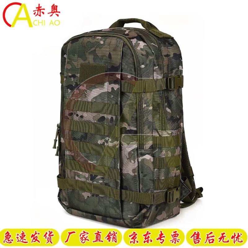 Outdoor Tactical Backpack