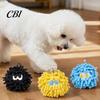 Small Dog Toys Squeaky Mop Ball Toy, Plush Chew Toy for Teeth Cleaning, Pet Dental Self-Play Boredom Relief Interactive Medium Dogs Durable