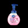 Safeguard Antibacterial Foaming Hand Wash