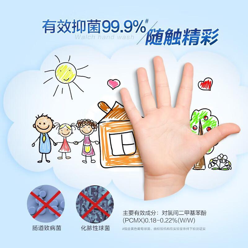 

Walch Antibacterial Foaming Hand Wash