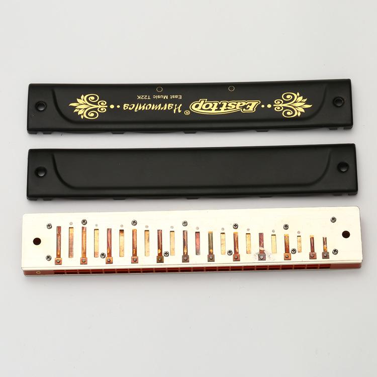 Dongfang's 22-Hole C Key Polyphonic Harmonica for Beginners and Adults