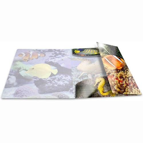 Herma Elasticated Glossy PP Folder A3 Animals (Fish)