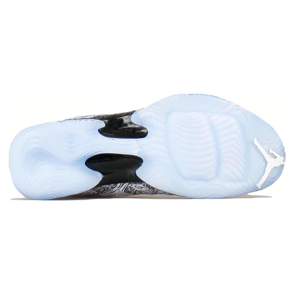 Air Jordan 29 'Black History Month' 727133-110