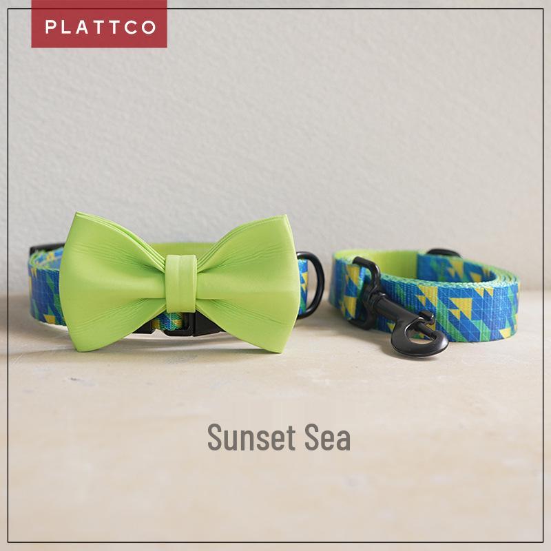 PLATTCO Printed Pet Dog Collar & Leash Set PDC309 Extra Large