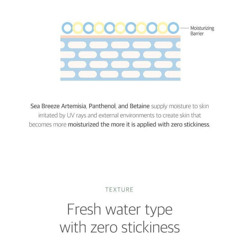 ROUND LAB - Mugwort Calming Toner