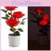 Solar Rose Garden Led Lamp With 3d Illumination For Patio And Garden Decor