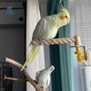 DIY Suction Cup Bird Climbing Perch Non-slip Comfortable Grip Parrot Standing Perch with Tray Durable Stable Grinding Claws Pole