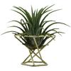 T02C!15 Pcs Geometric Air Plant Holder Airplants Rack Metal Plants Stand Planter Shelves Himmeli Decor Tillandsia Containers