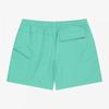 The North Face White Label Olema Shorts Mint