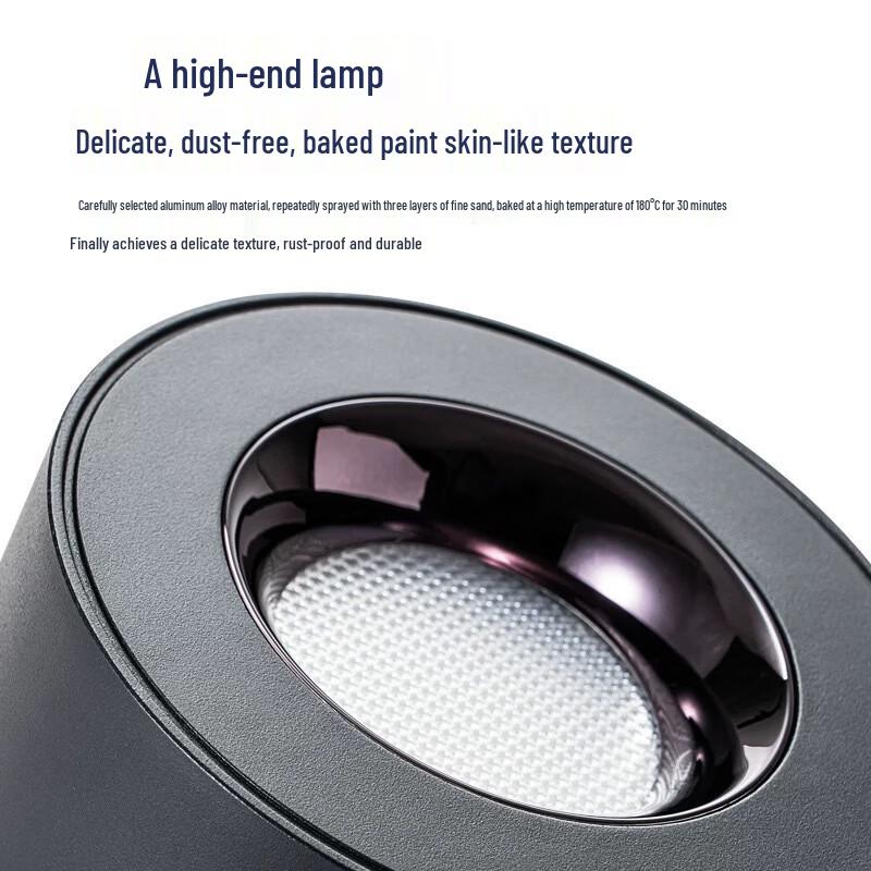 Oeny 12W LED Surface Mounted Downlight