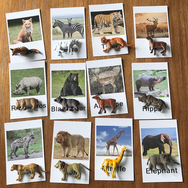 Montessori Animal Model Card Set: Farm Object & Word Recognition for Early Education
