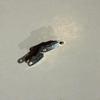 Used Hermes Clipper piece, glossy surface, old style screws, 2 pieces