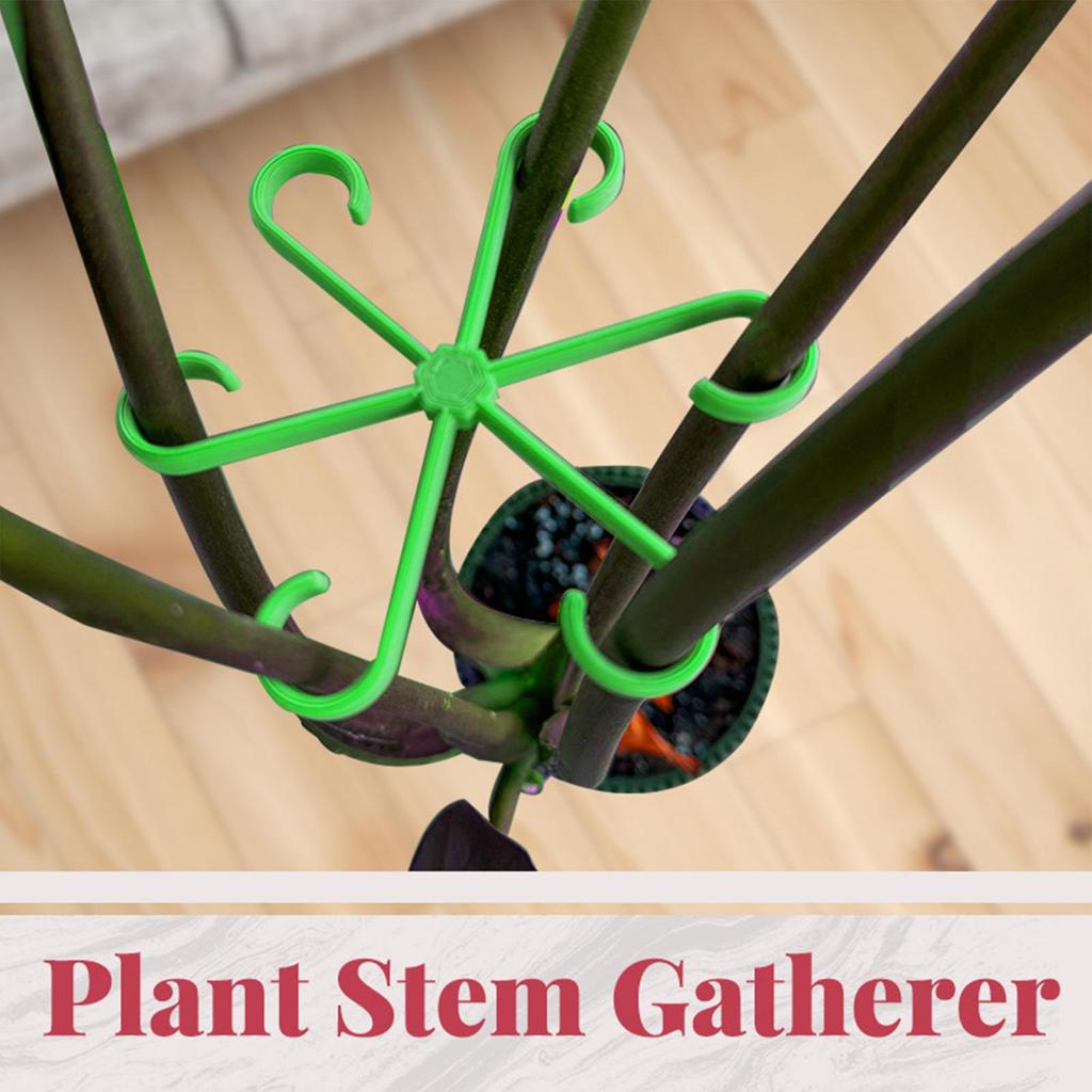 Plants Stem Support Black/Red/Green Plastic Trellis Easy Installation Vine Plants Trellis Indoor Plant Holder Rack Hoops