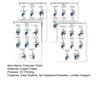 4Pcs 4-Week Chair Exercise Chart for Seniors Full Body Seated Stretching