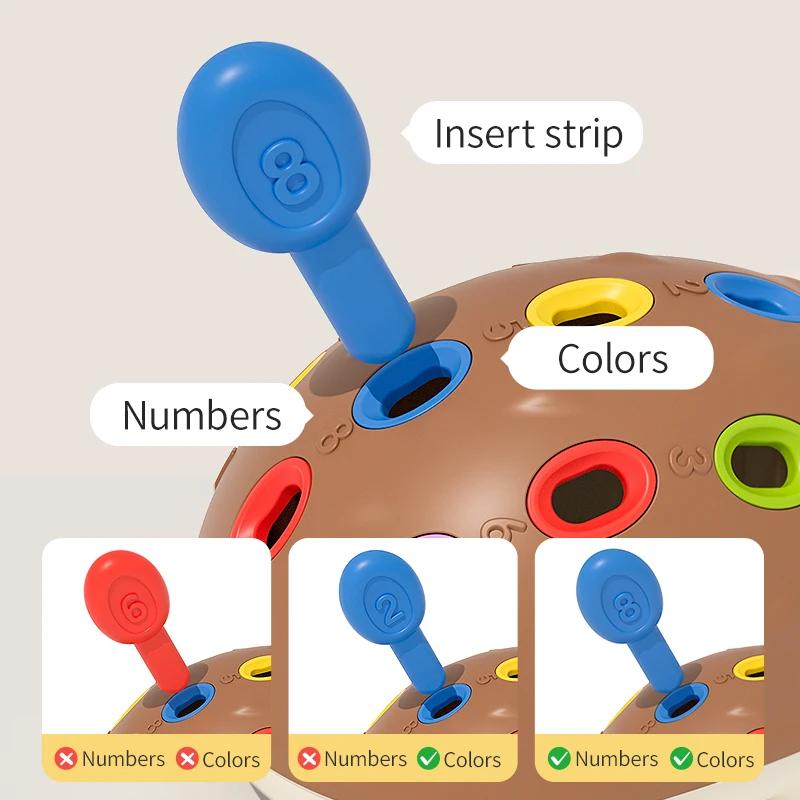 Sensory Educational Toy Hedgehog Montessori Baby Digital Color Matchingtoys Hand-Eye Coordination Develop Concentration Children