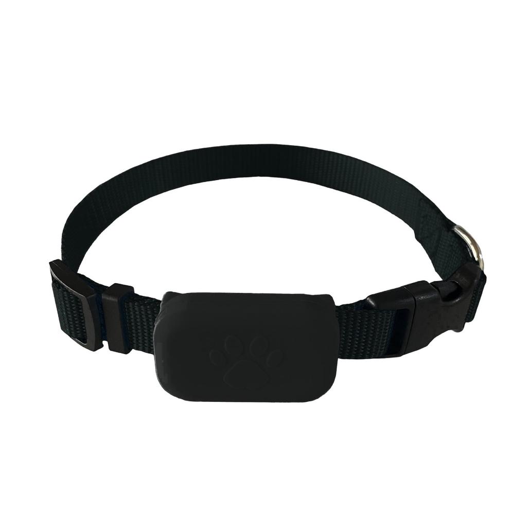 SpotOn Pet Tracker Collar: Bluetooth Anti-Lost Reminder for Puppies and Kittens.