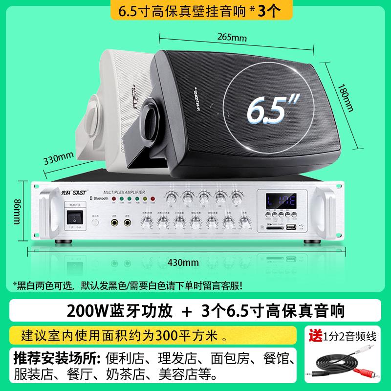 SAST Commercial Wall/Ceiling Speaker System (CN Version)