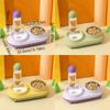 Dual Purpose Cat Drinking Bowls Spill Proof Cat Feeding Bowl Cat Double Bowl  Home