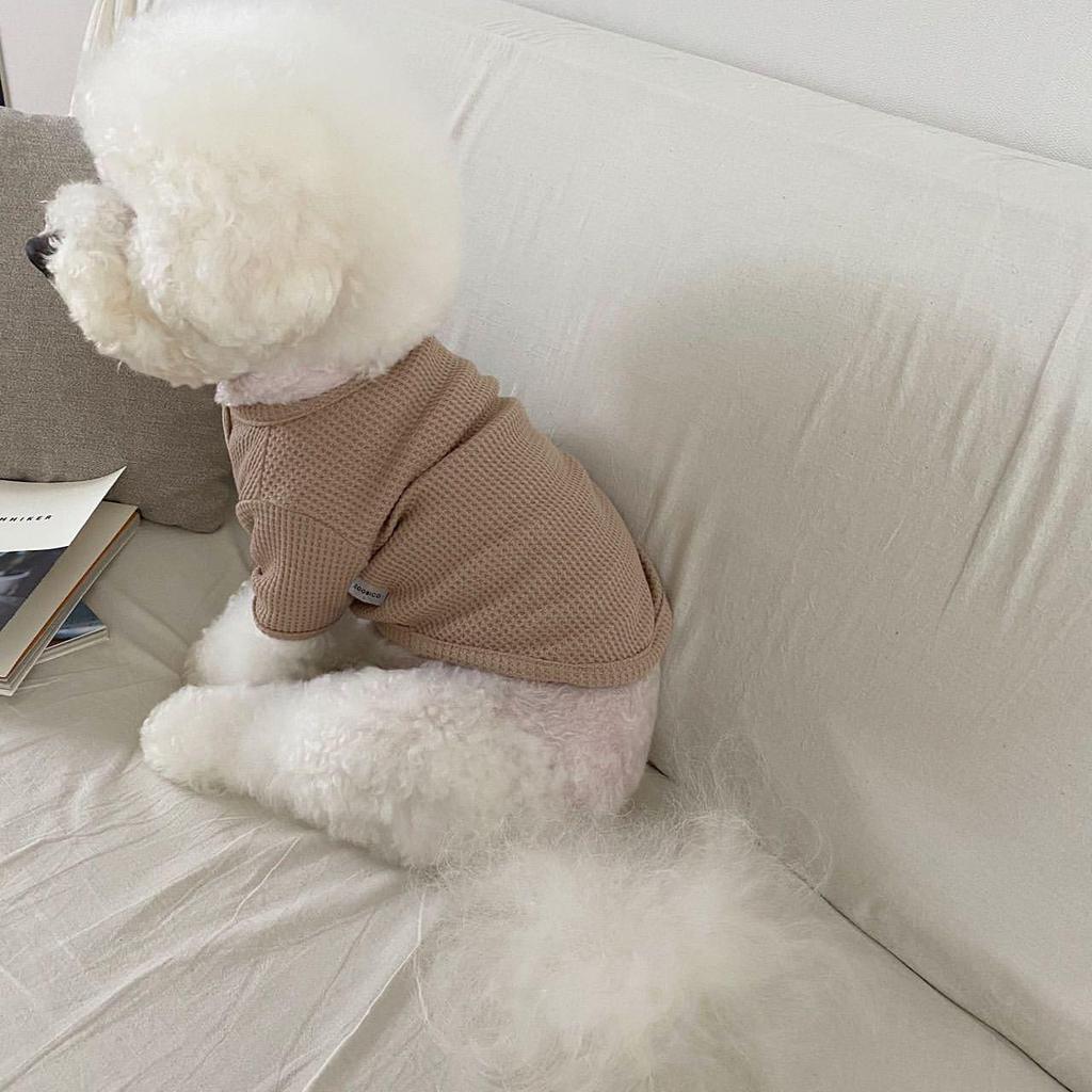 Korean Style Autumn/Winter Hoodie for Dogs - Two-Legged Teddy & Pomeranian Apparel