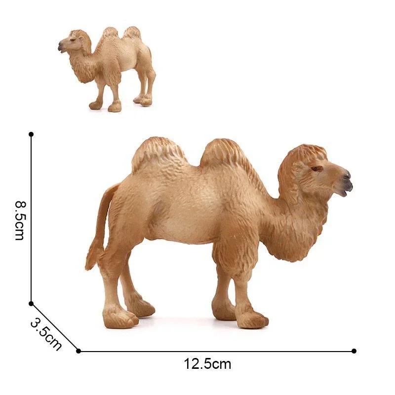 Realistic Camel Model Solid Dromedary Bactrian Static Toy Ornament Home Decor