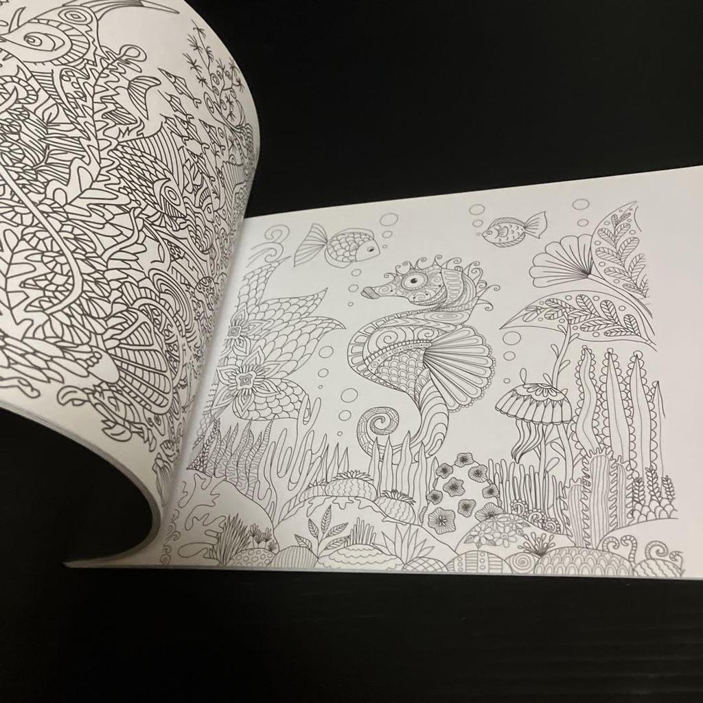 [USED] Western books, coloring books