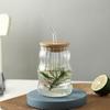 Bocal en Verre avec Couvercle en Bois Ustensile de Boisson Portable Gobelet à Thé Réutilisable pour la Maison et le Bureau