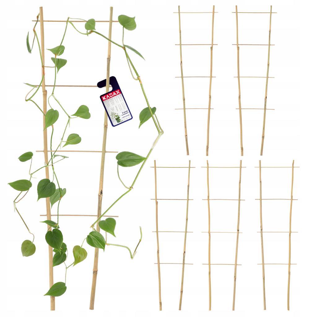 KADAX Pergola Podpora Drabinka Bambusowa 5 szt