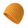 Thickened Warm Knitted Hat for Men and Women Couples Winter Wool Hat Outdoor Windproof Ski Pullover Cold Hat