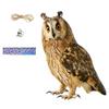 Fake Owls Decoy Scare Birds Control Away Home Garden Owl Scarer Pendant Bird Repellents Bell Pastoral Orchard Bird Scare