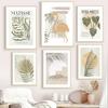 Nordic Leaves Art Poster Astratti Matisse Dipinti murali Immagini senza cornice per soggiorno Home Room Decor Stampe senza cornice