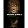 DIY 5D Diamond Painting Ruthless Lion Diamond Mosaic Cross Stitch Kits Home Decoration Full Round Diamond Embroidery