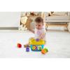 Fisher-Price Infant First Blocks Rainforest (6 Months and Up) Baby Toy Educational Block Set (FFC84)