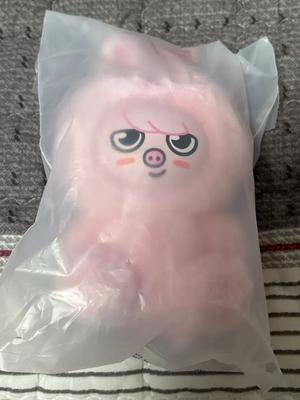 STRAY KIDS Skies Skiju Seo Changbin Merchandise Pig Plushie for Sale/transfer