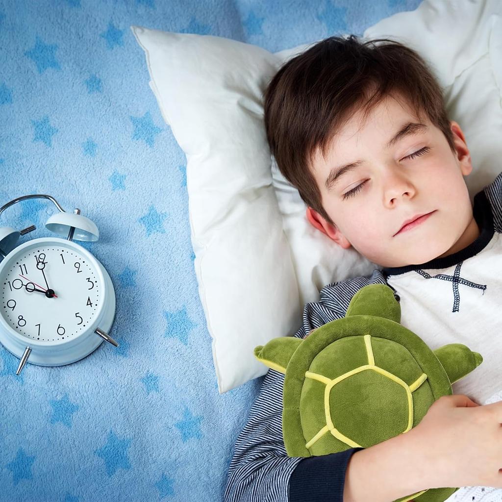 Cute Sea Turtle Plush Toys 9.8 inch Soft Turtle Stuffed Animals, Turtles Plushies Toy Birthday Gifts for Kids Boys Girls